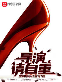 导演请自重下载