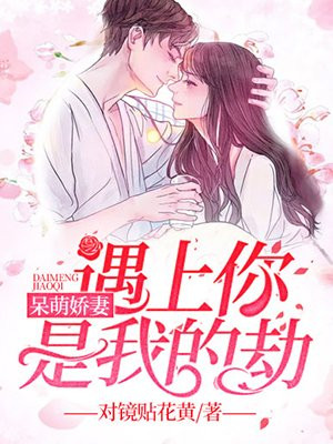 呆萌娇妻:遇上你是我的劫