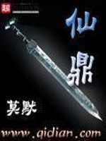 仙鼎再世小说