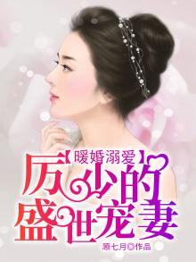 暖婚溺爱,厉少的盛世宠妻免费阅读小说