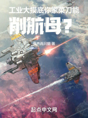 菜刀刀工