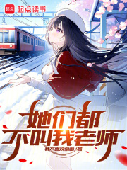 她们都不叫我老师免费阅读小说