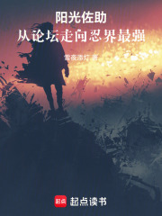 阳光佐助,从论坛走向忍界最强txt