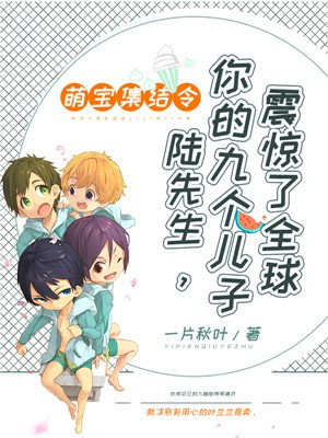 萌宝集结令,陆先生 你的九个