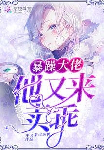 暴燥大佬