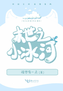 末世之小冰河 小说