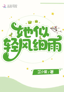 轻风细雨的意思