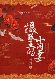 摄政王的小闲妻全文免费阅读