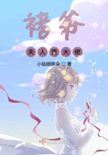 褚爷夫人是大佬小说
