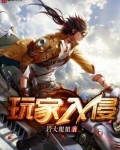 玩家入侵