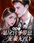 甜爆!暴戾宫爷带崽宠妻无度!