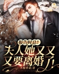 报告时总!夫人她又又又要离婚了!