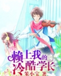 赖上我的冷酷学长