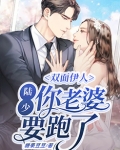 双面伊人:陆少,你老婆要跑了