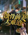 蚀骨前妻太难追