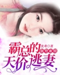 强势索情:霸总的天价逃妻