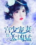 重生豪门：宫少宠妻太凶猛