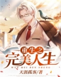 重生之完美人生