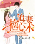 追妻擒心术