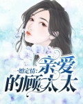 一婚定情：亲爱的顾太太