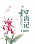 和离记(大唐商女传)