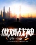 傲婿战神