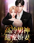高冷男神甜宠娇妻