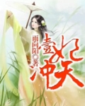 壹妃冲天
