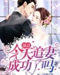 郁总今天追妻成功了吗