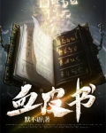 血皮书