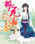 极宠冷傲妻