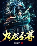 九龙至尊