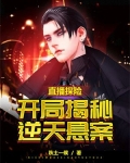 直播探险,开局揭秘逆天悬案