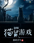 DW猫鼠游戏
