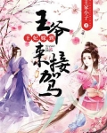 王妃嫁到:王爷来接驾