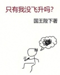 只有我没飞升吗？