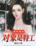 都市：我的相亲对象是特工