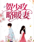 贺少攻略暖妻