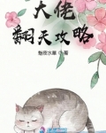 大佬翻天攻略