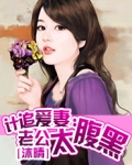 计追爱妻：老公太腹黑