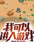 我可以进入游戏