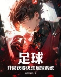 足球:开局获得快乐足球系统