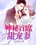 神秘首席甜宠妻