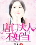 倾城炼丹师