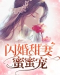 闪婚甜妻蜜蜜宠