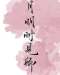 月明时见卿