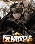 医婿风华