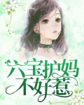 六宝护妈不好惹