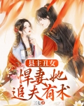县主丑女，悍妻她追夫有术