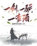 一剑，一驴，一壶酒